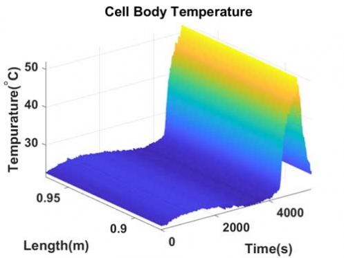 Battery cell temperature