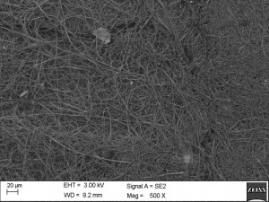 图2：用于醋酸纤维素纤维的扫描电子显微照片用于LUNA的法医拭子